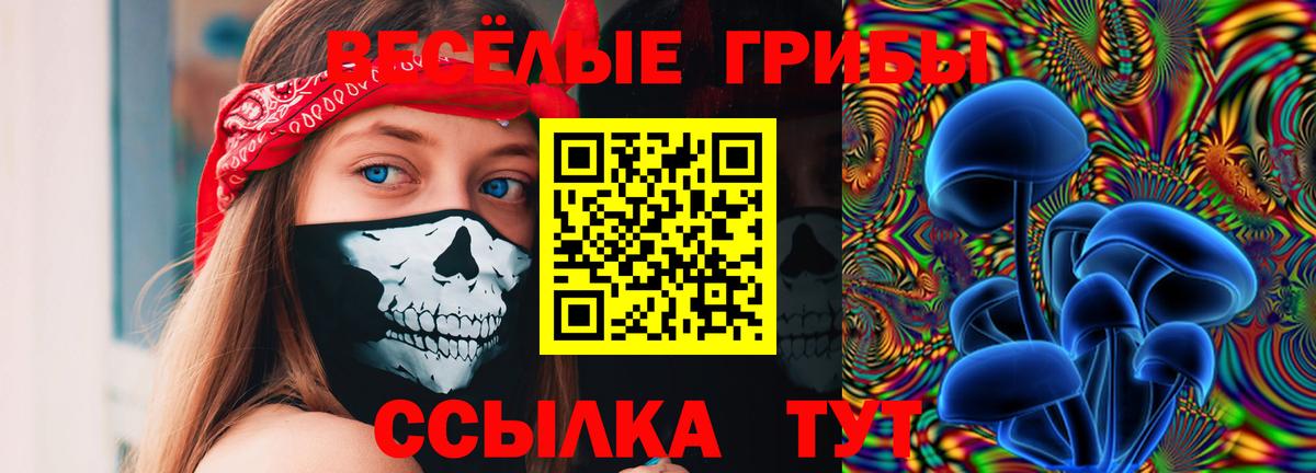 Астрахань  Псилоцибиновые грибы Magic Shrooms  Вход с VPN 